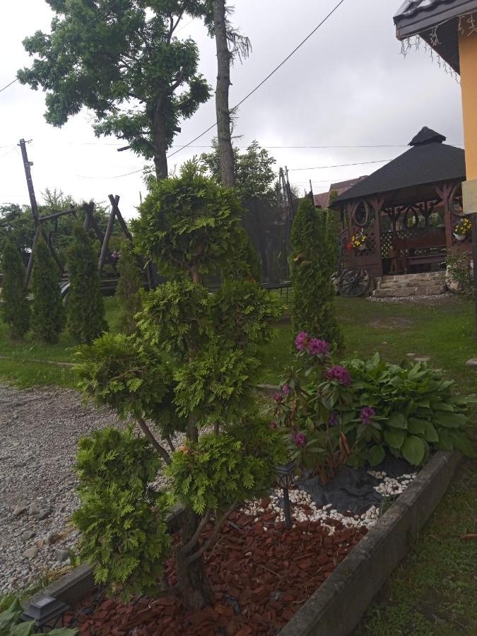 Pokoje Goscinne U Moniki I Daniela Zakopane Exterior foto